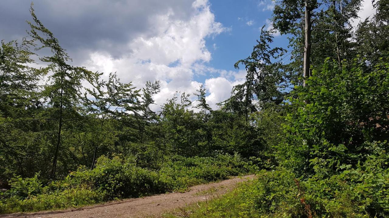 Schoener Weitblick Bad Sachsa Exterior foto